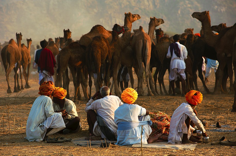 Pushkar Camel Fair - Zdjęcie 28 z 36